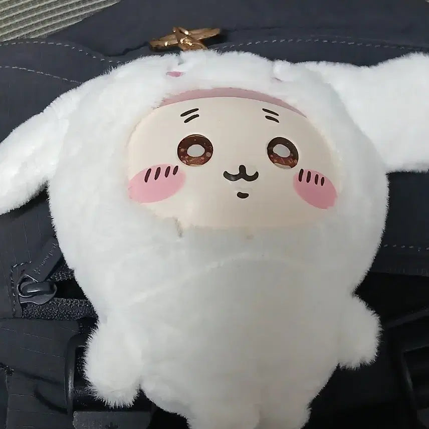[BUNJANG] Sanrio Chiikawa Cinnamoroll &amp; Kani Doll / 급처) 산리오 치이카와 먼작귀 시나모롤 카니 인형 팝니다!