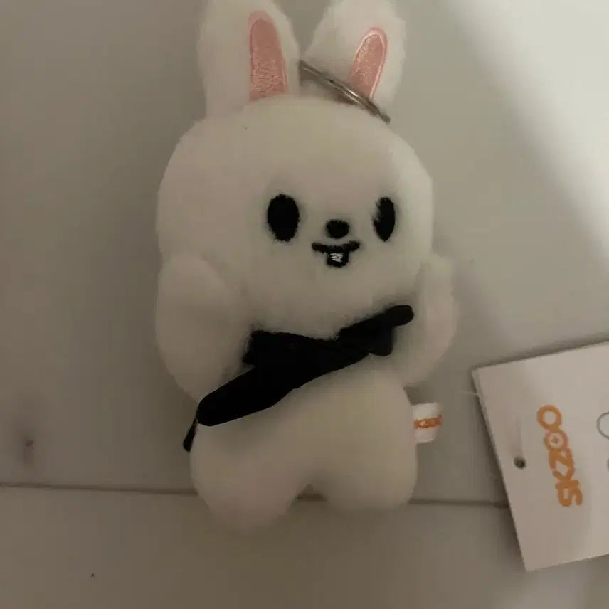 [BUNJANG] Stray Kids Lee Know Ribbit Magnet Doll / 스키즈 리노 마그넷 인형 리빗