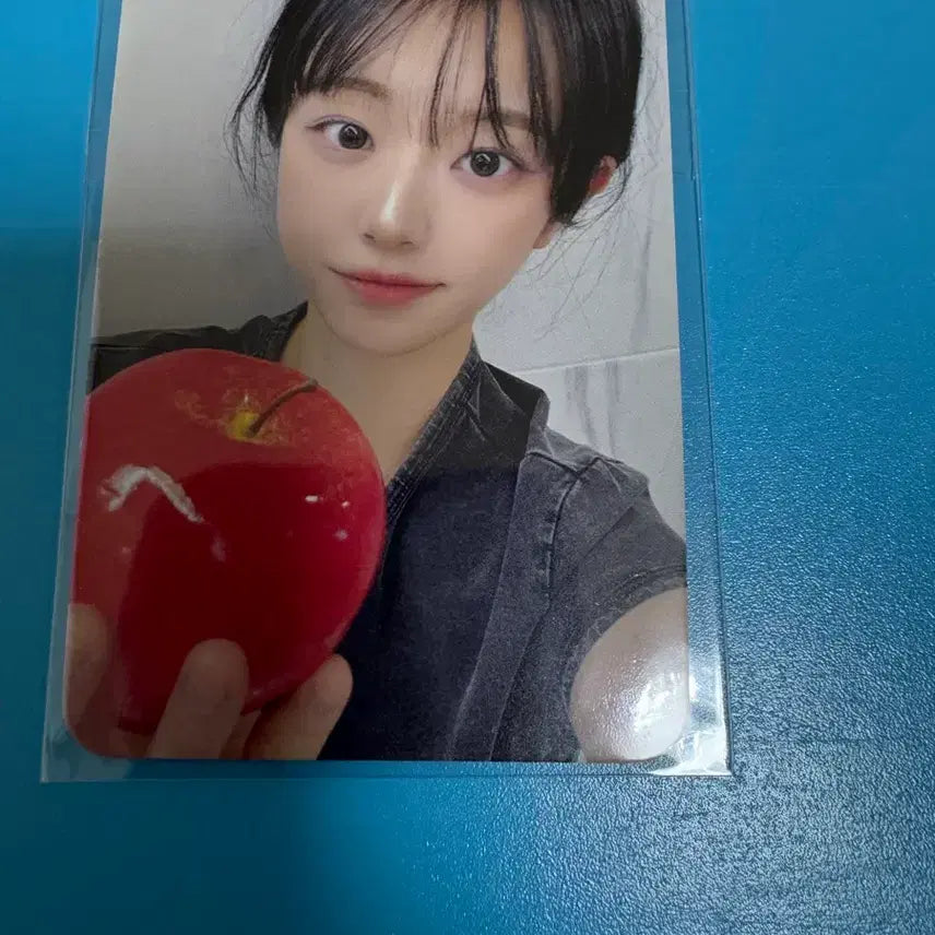 [BUNJANG] QWER CHODAN Dear My Muse Lucky Draw Photocard / QWER 쵸단 디어마이뮤즈 디마뮤 대면 팬싸인회 특전 포카 미공포