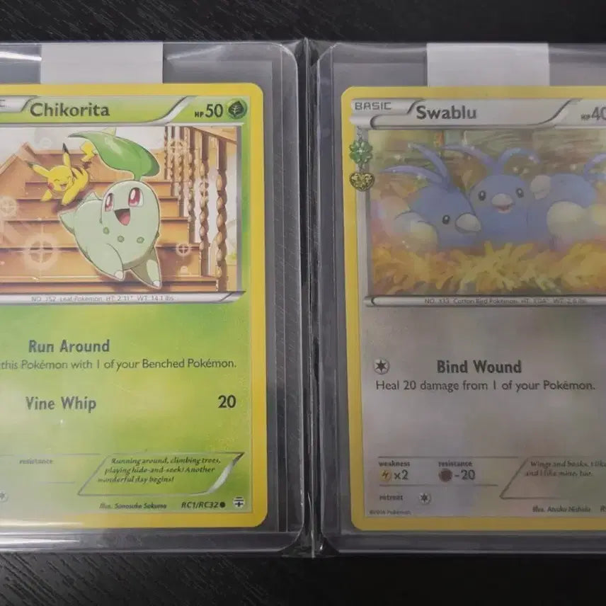 [BUNJANG] North America Chikorita Pabico / 북미 심쿵 치코리타 파비코