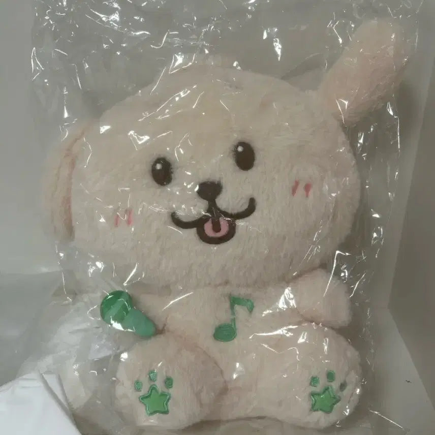 [BUNJANG] NCT WISH Jaehee Daeyoung 30cm Doll / 엔시티위시 재희 대영 30cm 댕트리버
