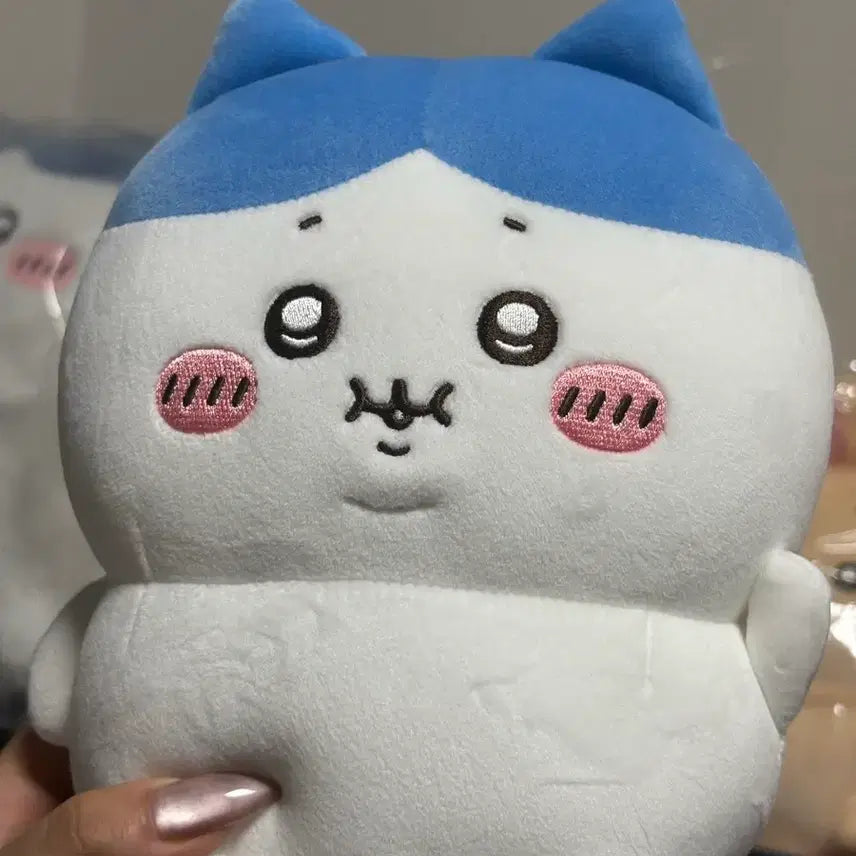 [BUNJANG] Chiikawa Hachiware Chubby Plush / 치이카와 하치와레 포동포동 인형