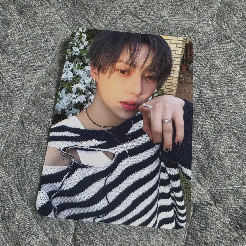 [BUNJANG] Ald1 Alphadriveone Arno POB Photocard / 공정하자) 알파드라이브원 아르노 미공포 케이팝투게더 케팝투 알디원 좋아하는 사람 ald1 포토 카드