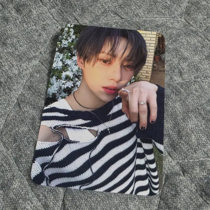 [BUNJANG] Ald1 Alphadriveone Arno POB Photocard / 공정하자) 알파드라이브원 아르노 미공포 케이팝투게더 케팝투 알디원 좋아하는 사람 ald1 포토 카드
