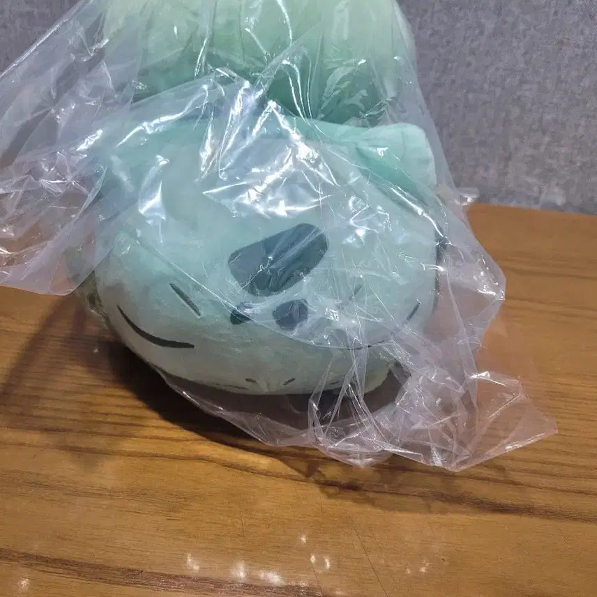 [BUNJANG] Pokemon Bulbasaur Sleeping Plush Doll / 포켓몬스터 이상해씨 포켓몬 슬립 잠자는 인형 말랑 누이구루미 포케센 일포센 굿즈 누이 봉제인형 포슬립 잘자요