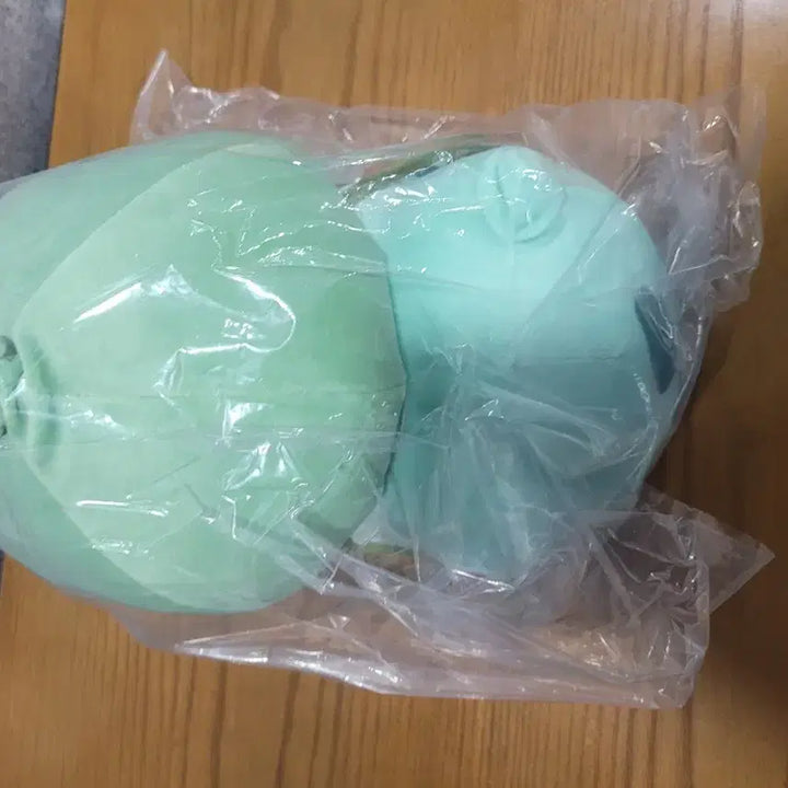 [BUNJANG] Pokemon Bulbasaur Sleeping Plush Doll / 포켓몬스터 이상해씨 포켓몬 슬립 잠자는 인형 말랑 누이구루미 포케센 일포센 굿즈 누이 봉제인형 포슬립 잘자요