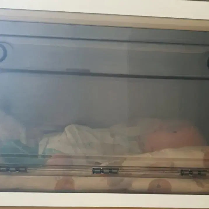 [BUNJANG] Full Silicone Reborn Doll / 풀실리콘 리본돌