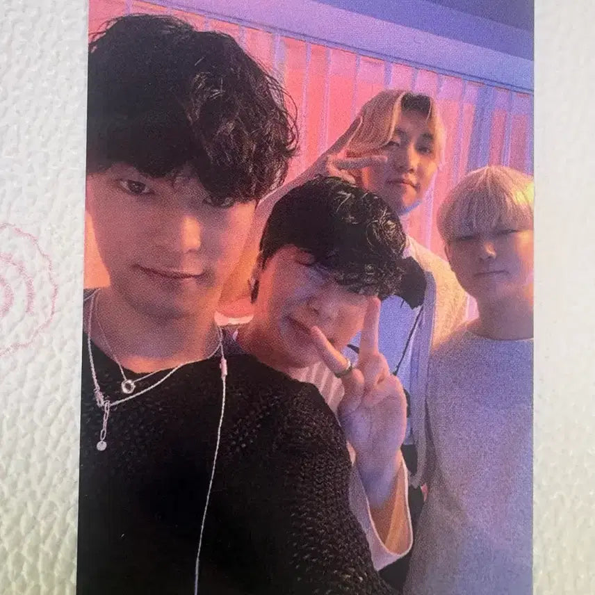 [BUNJANG] Rakuna Concert Group Photocard / 라쿠나 콘서트 단체 포카 밴드 포토카드 양도 판매 summer noise