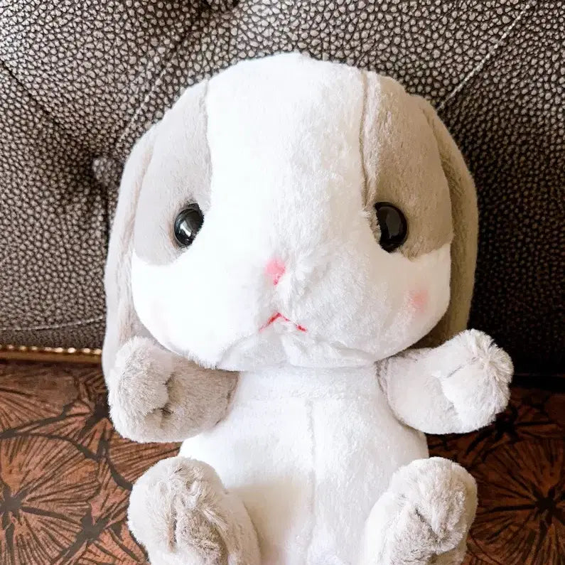 [BUNJANG] Amuse Pampi (Lotty) Jumbo Plush / 일본정품-어뮤즈 팜삐(롯삐)점보 인형