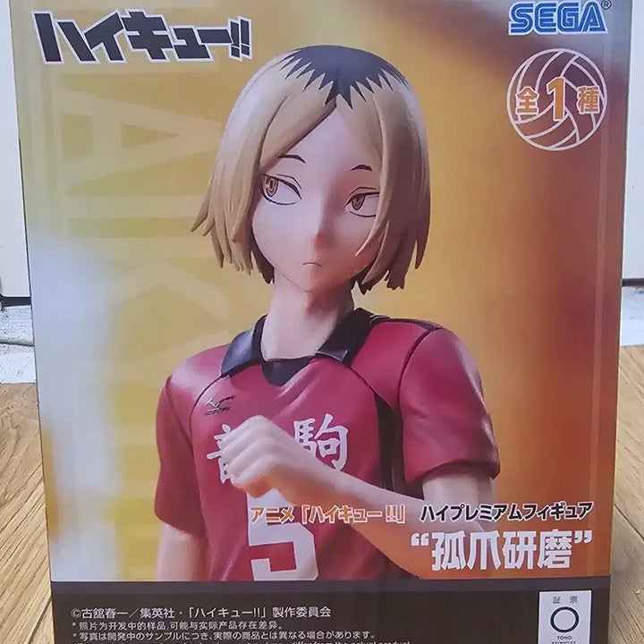 [BUNJANG] Haikyuu!! Kozume Kenma Figure / 하이큐!! 코즈메 켄마 피규어