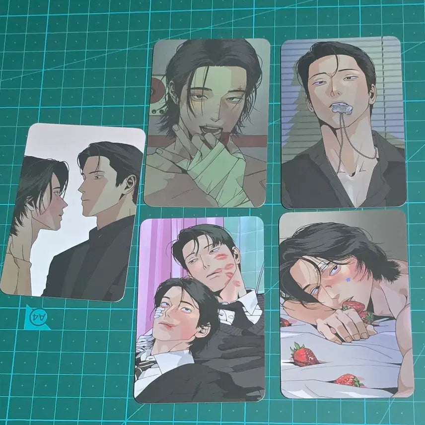 [BUNJANG] Jooeun Peace Collection Special Bundle Set Photocard / 주의평화 컬포 스페셜 일괄