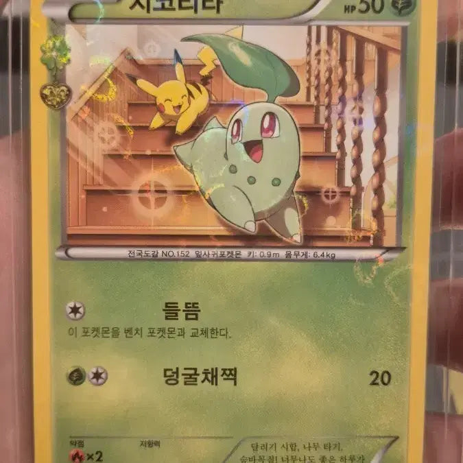 [BUNJANG] Pokemon Card Ancient/Promo Set / 포켓몬카드 고대/프로모 카드