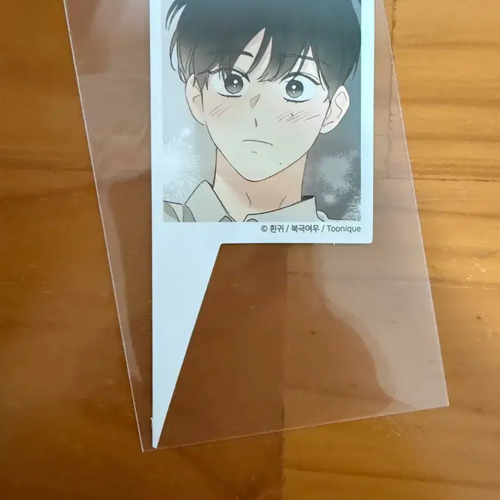 [BUNJANG] Toonique Photocard / 꿈자리가 이상한데요 투니크 포토카드