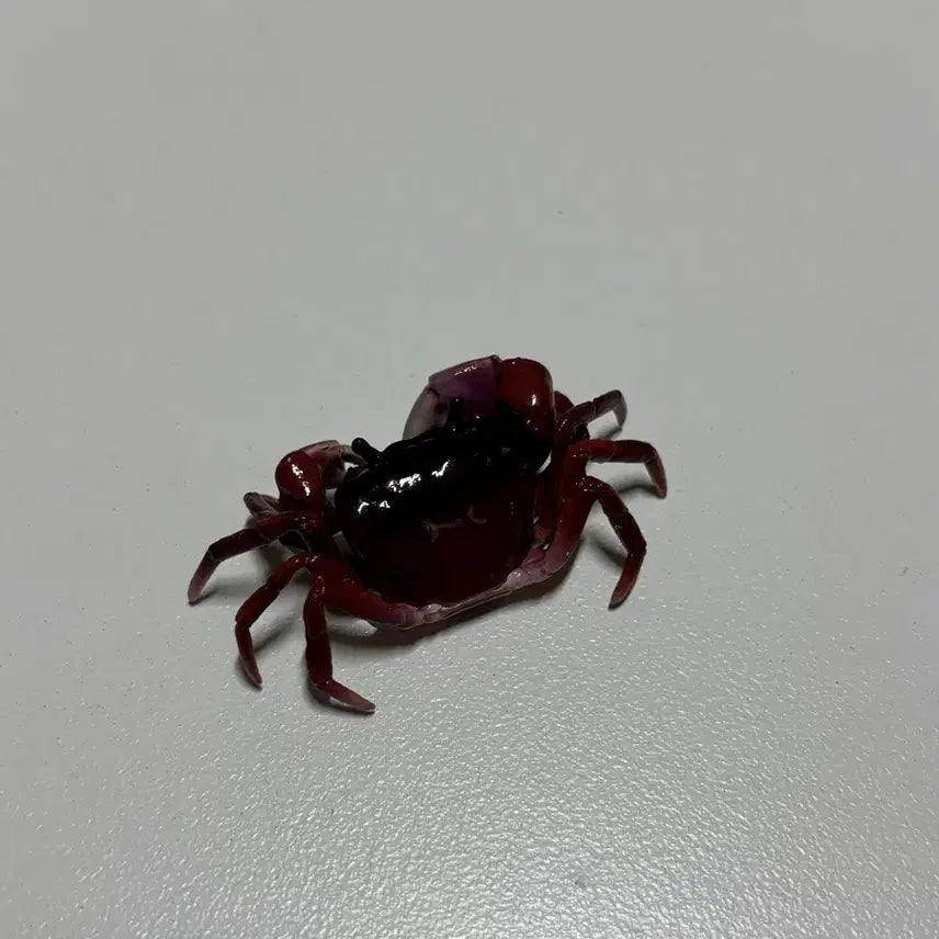[BUNJANG] Living Creatures Encyclopedia Crab Figure / 생물대도감 꽃게 피규어 가챠 판매
