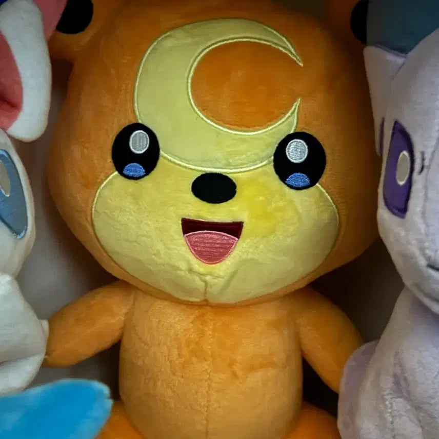 [BUNJANG] Pokemon Teddiursa 25cm Plush / 포켓몬스터 깜지곰 25cm