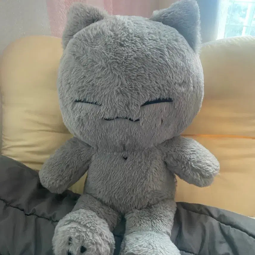 [BUNJANG] ONF Minkyun 40cm Big Cat Plush / 빅둥냥이 둥냥이 대왕둥냥이 40cm 온앤오프 민균