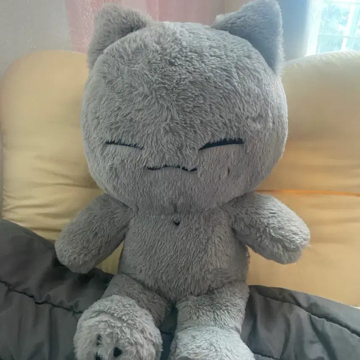 [BUNJANG] ONF Minkyun 40cm Big Cat Plush / 빅둥냥이 둥냥이 대왕둥냥이 40cm 온앤오프 민균