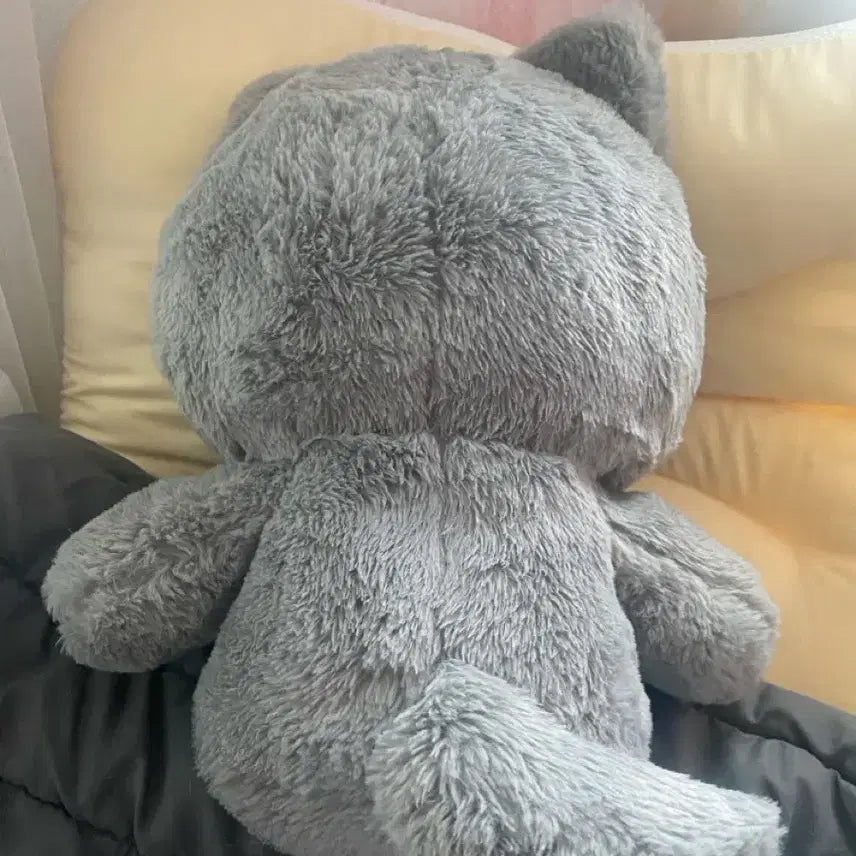 [BUNJANG] ONF Minkyun 40cm Big Cat Plush / 빅둥냥이 둥냥이 대왕둥냥이 40cm 온앤오프 민균