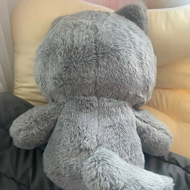 [BUNJANG] ONF Minkyun 40cm Big Cat Plush / 빅둥냥이 둥냥이 대왕둥냥이 40cm 온앤오프 민균