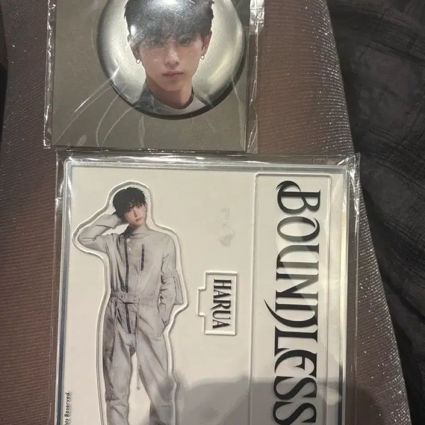 [BUNJANG] andTEAM Harua VR BOUNDLESS Acrylic Stand / HARUA 하루아 &amp;TEAM 앤팀 아크스타 아크릴 스탠드 VR BOUNDLESS