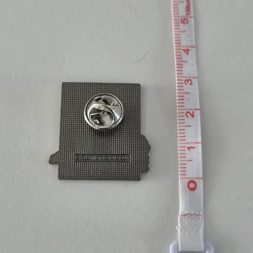 [BUNJANG] US National Parks Petrified Forest Official Badge / 미국 국립공원 Petrified 공식 뱃지