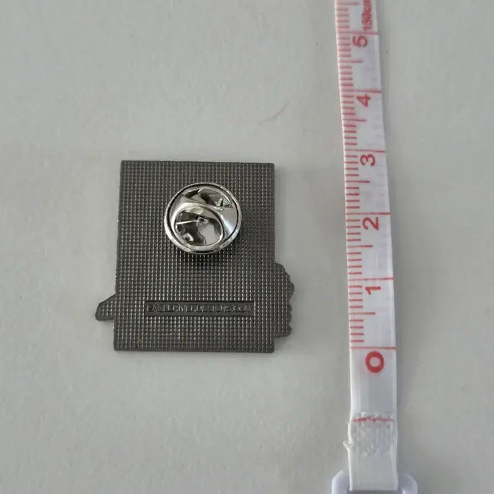 [BUNJANG] US National Parks Petrified Forest Official Badge / 미국 국립공원 Petrified 공식 뱃지