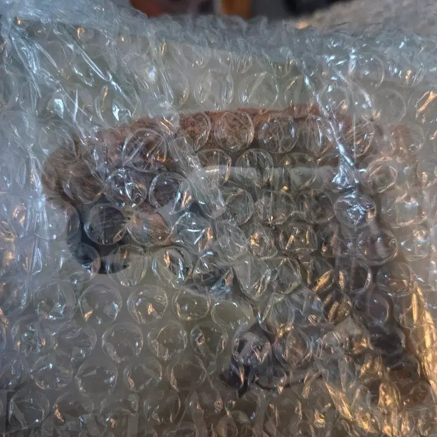 [BUNJANG] Attack on Titan Levi C Prize Sealed Figure / 진격의거인 리바이 c상 미개봉