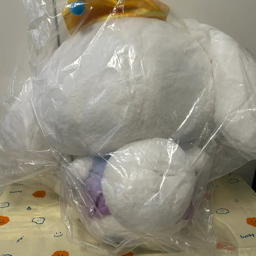 [BUNJANG] Sanrio Cinnamoroll Large Plush / 산리오 :: 시나모롤 :: 큰 인형