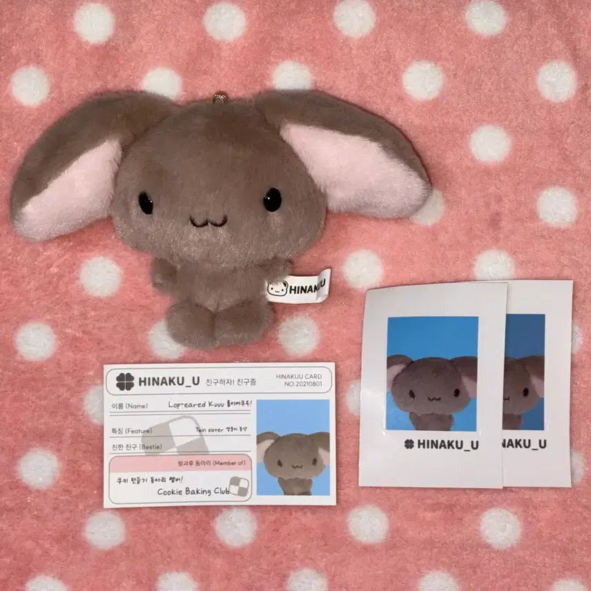 [BUNJANG] HinaKuu RobiKuu Doll Set with Special Photocards / 히나쿠우 롭이어쿠우 인형 세트