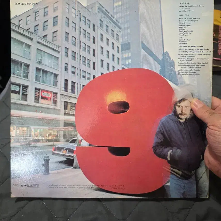 [BUNJANG] Michael Franks Burchfield Nines LP / 마이클 프랭크스 버치필드 나인즈 LP