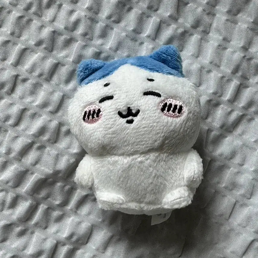 [BUNJANG] Hachiwari Seated Plush / 하치와레 앉은누이