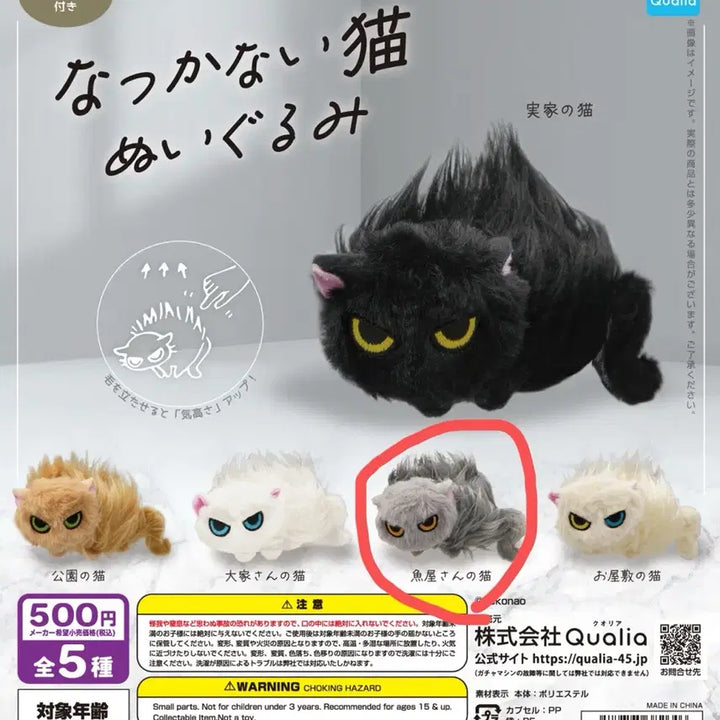 [BUNJANG] Unrestrained Cat Gacha Gray / 길들여지지 않는 고양이 가챠 회색