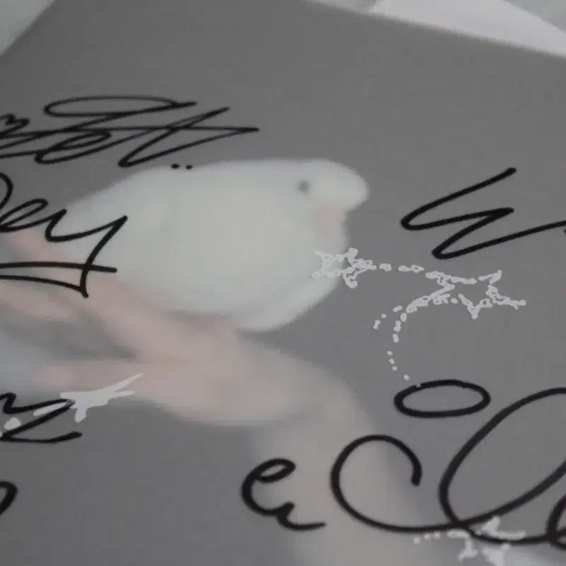 [BUNJANG] Rescene Dearest Signed Album / 리센느 dearest 친필싸인 앨범