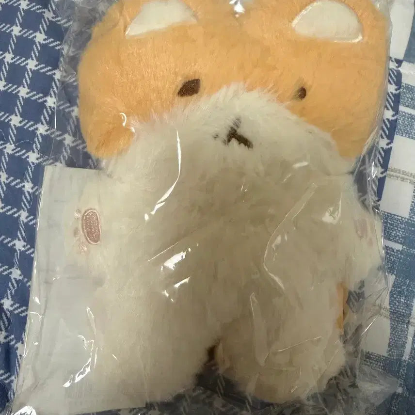 [BUNJANG] Baekhyun &