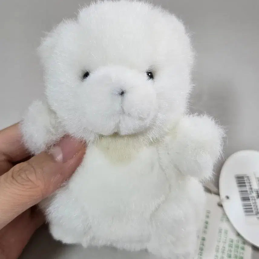 [BUNJANG] Takenoko Polar Bear Plush / 타케노코 곰인형 곰돌이 북극곰 조이풀
