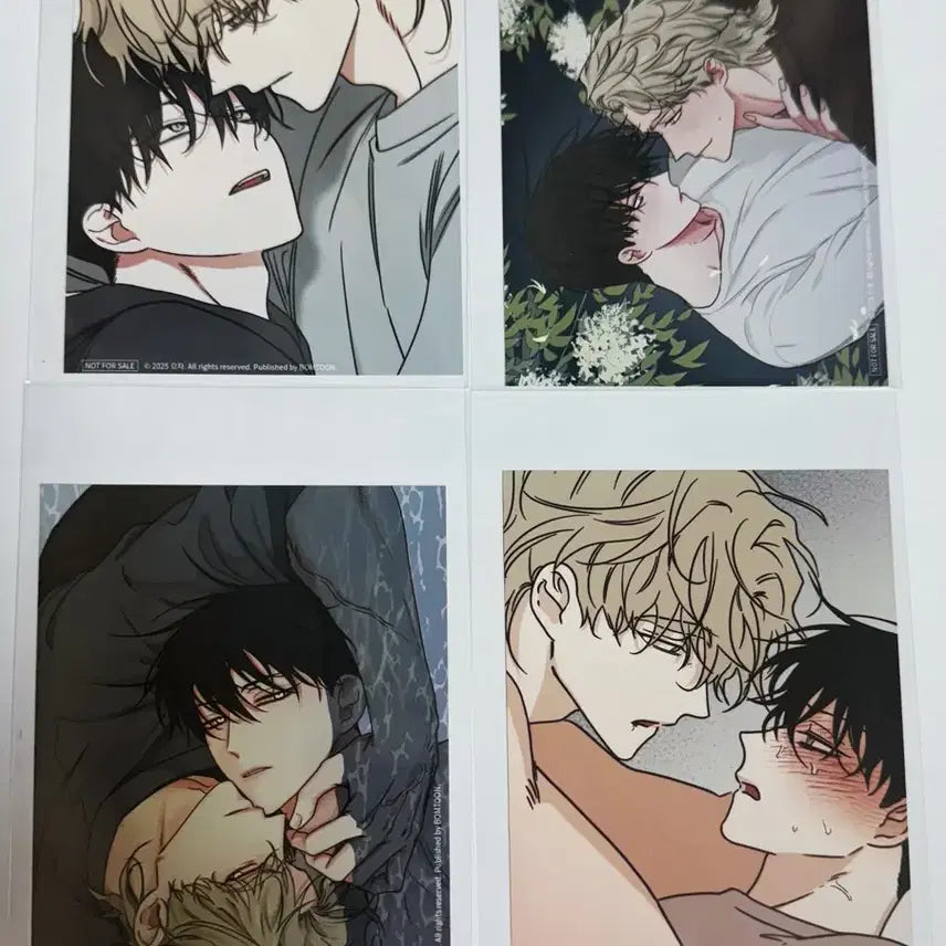 [BUNJANG] Low Tide in Twilight Photocard Bundle Set / (미사용 새상품) 물가의밤 인화사진 물밤 특전 4장 일괄 판매