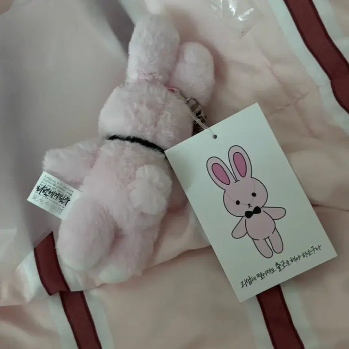 [BUNJANG] GyeDamChulGeun Brown Plush Doll / 괴담출근 괴출 브라운 팝업 착한친구 착친 인형 솜든몸