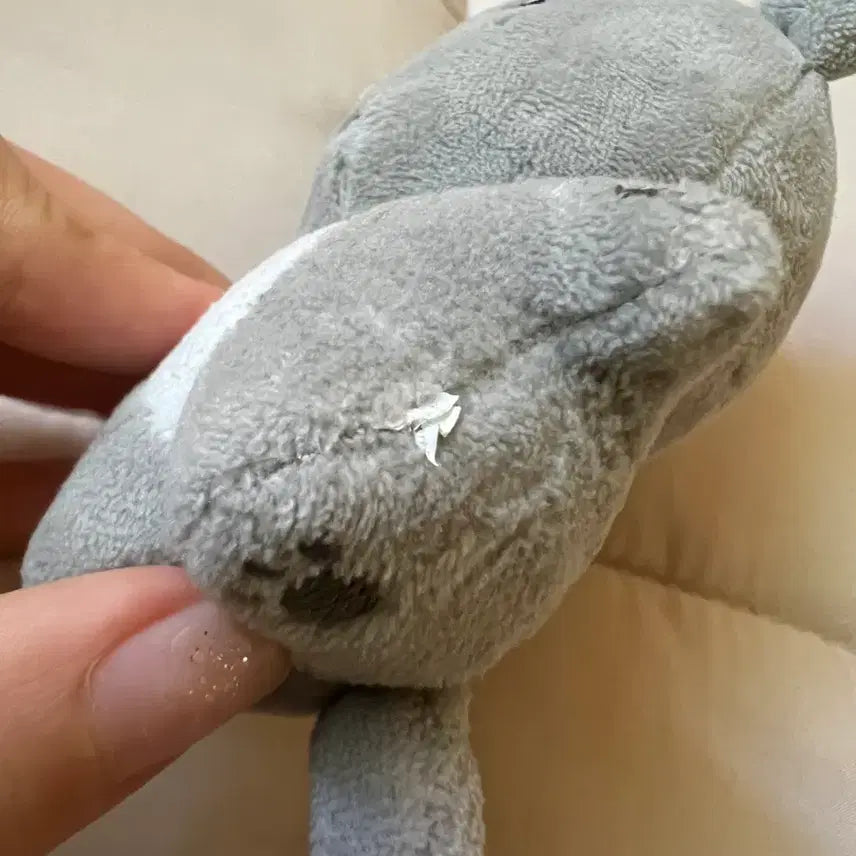 [BUNJANG] SEVENTEEN Dokyeom Dog Plush / 세븐틴 도겸 겸도그 인형판매