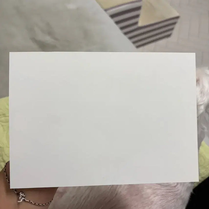 [BUNJANG] Hunter x Hunter Hisoka Art Card / 헌터헌터 아트카드 히소카