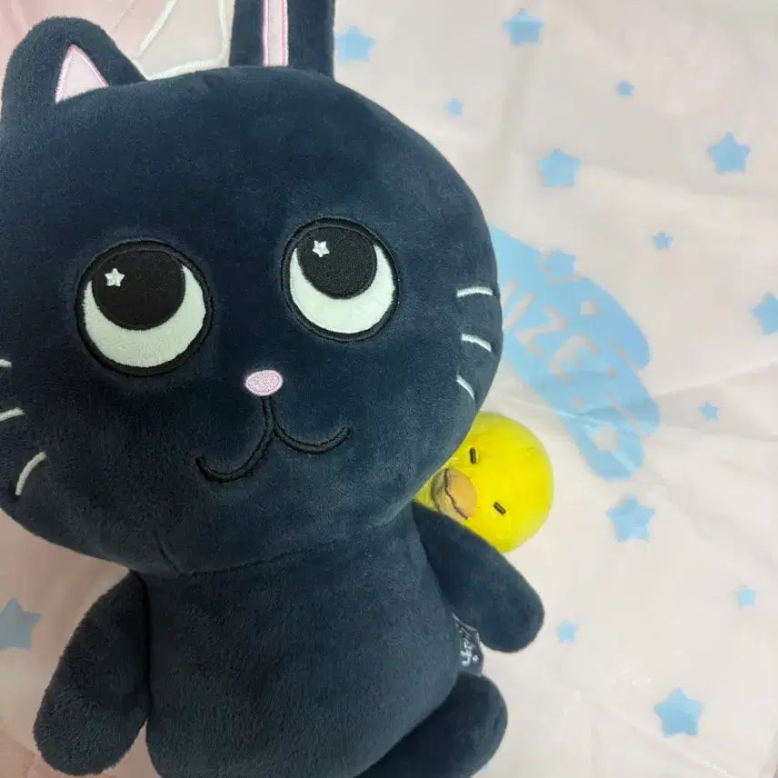 [BUNJANG] RIIZE Wonbin Tonangdeok 40cm Plush Doll / 라이즈 원빈 토냥덕 40cm 인형