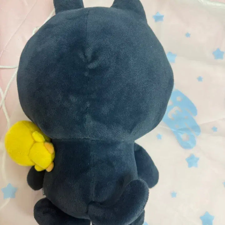 [BUNJANG] RIIZE Wonbin Tonangdeok 40cm Plush Doll / 라이즈 원빈 토냥덕 40cm 인형