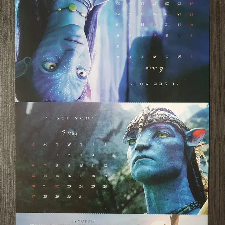 [BUNJANG] Avatar Movie Re-release Flyer Pamphlet A4 / 아바타 영화 재개봉 전단지 팜플렛 A4