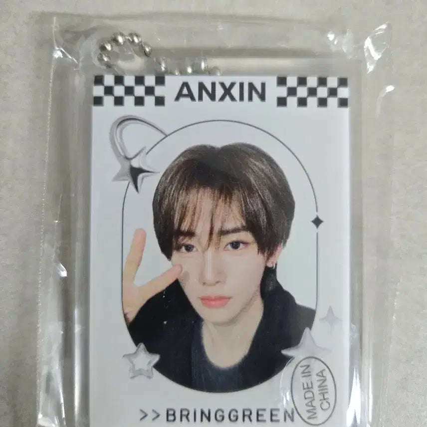 [BUNJANG] RD1 Bringgreen Anshin Keyring / 알디원 브링그린 안신 키링
