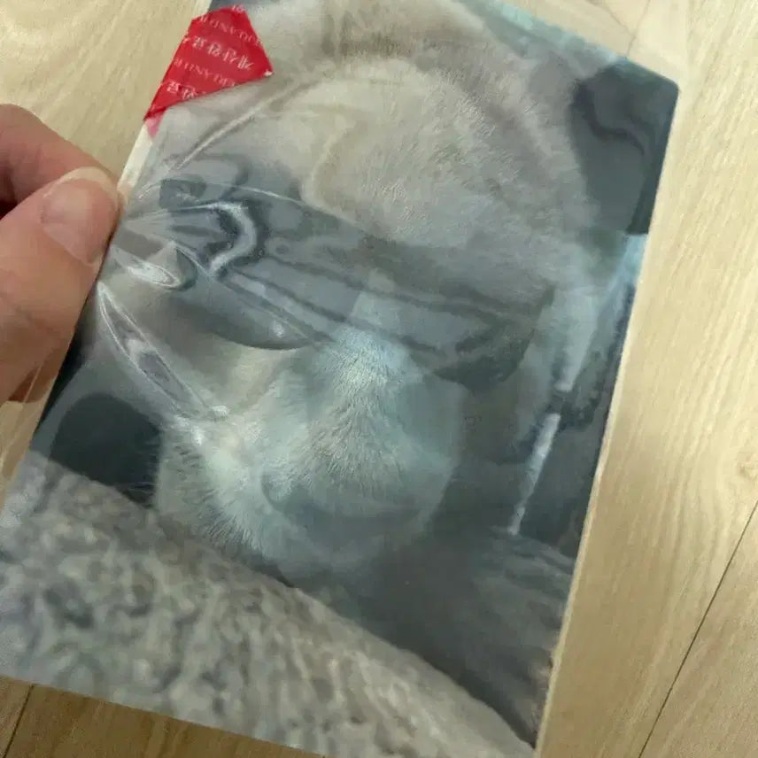 [BUNJANG] Fu Bao Lenticular Postcard / 푸바오 렌티큘러엽서