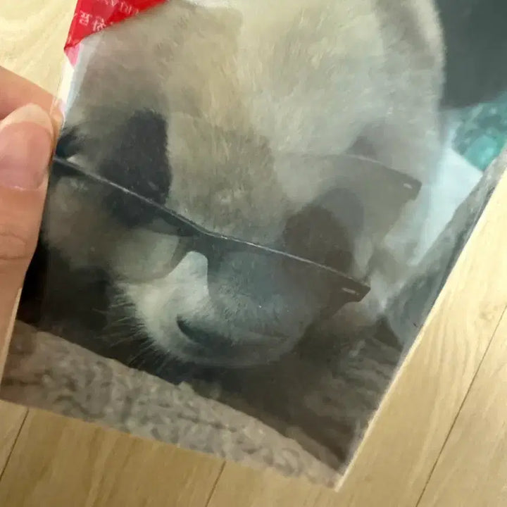 [BUNJANG] Fu Bao Lenticular Postcard / 푸바오 렌티큘러엽서