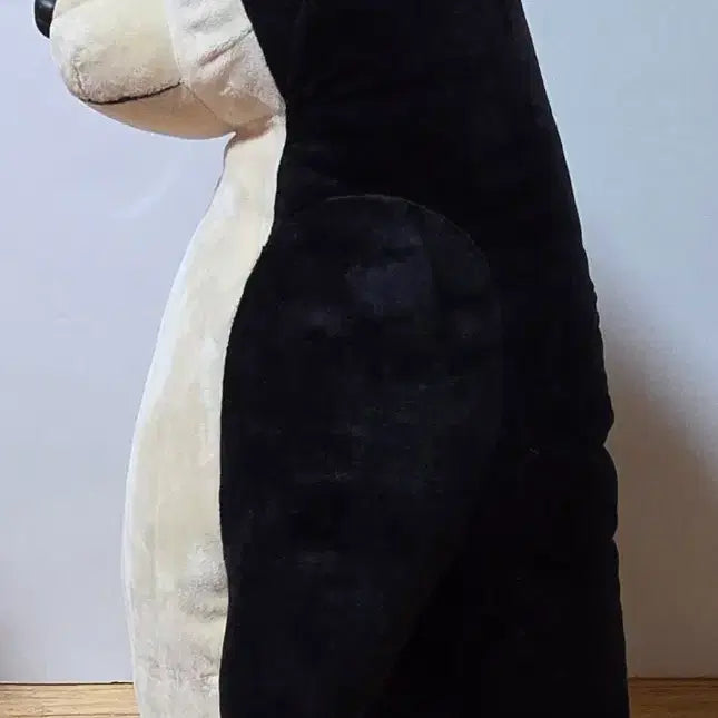 [BUNJANG] Gaesae Penguin 50cm Plush Toy / 개새 펭견 50cm 인형