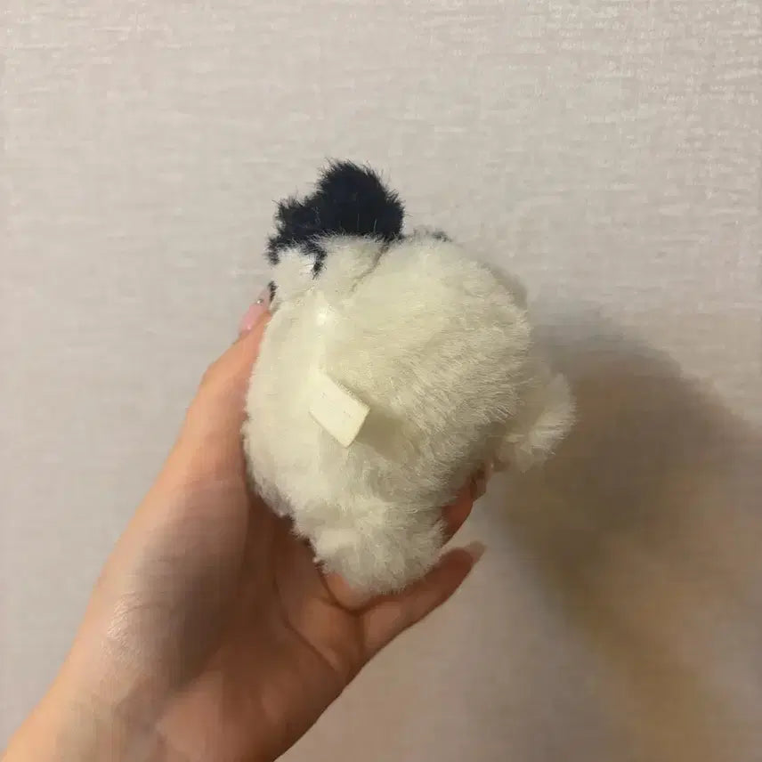 [BUNJANG] Vintage Dalmatian Dog Plush Toy / 빈티지 점박이 강아지 인형