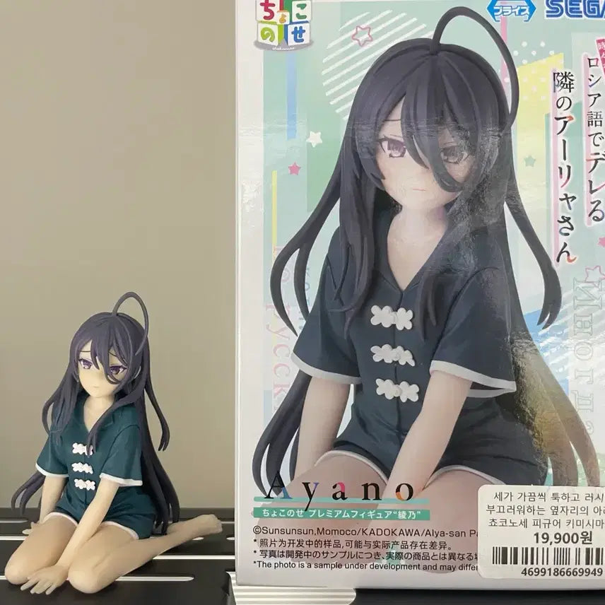 [BUNJANG] Kimi Shima Ayano Russian Figure / 가끔씩 툭하고 러시아어로 ~ 키미시마 아야노 피규어