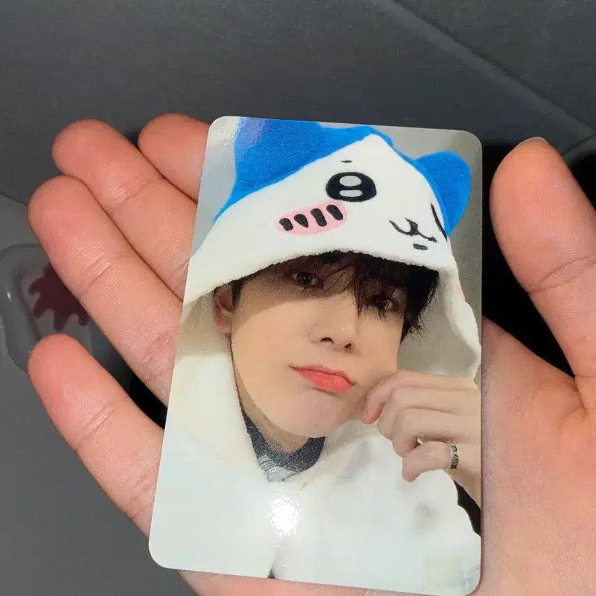[BUNJANG] Younghoon Hachiwara Photocard / 영훈 하치와레 포카 팔아요 하자 없어요
