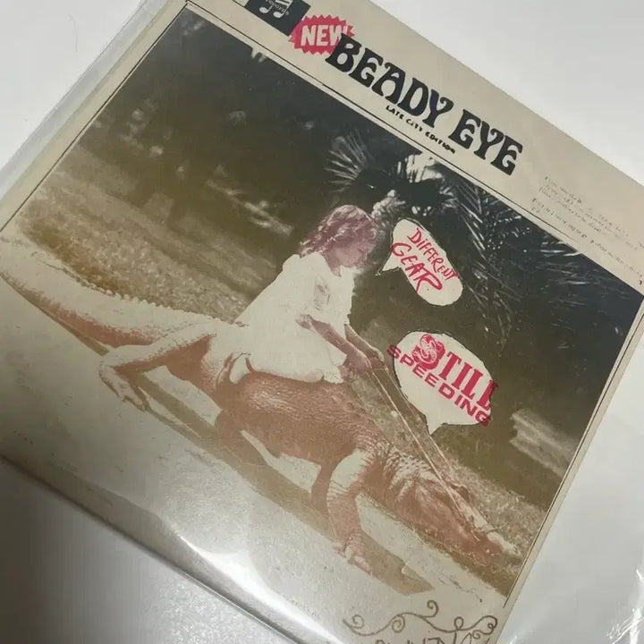 [BUNJANG] BIDI Japan CD/DVD / 비디아이 일본 CD/DVD 양도